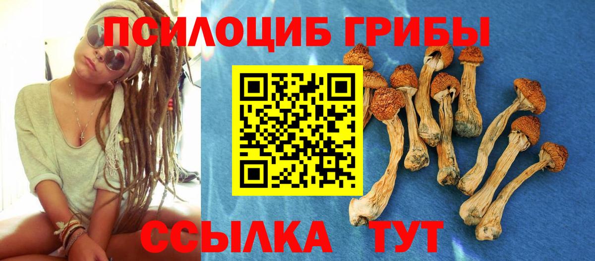 Галлюциногенные грибы Psilocybine cubensis  Псилоцибиновые грибы Magic Shrooms  купить наркоту  Вход с VPN  Коломна 
