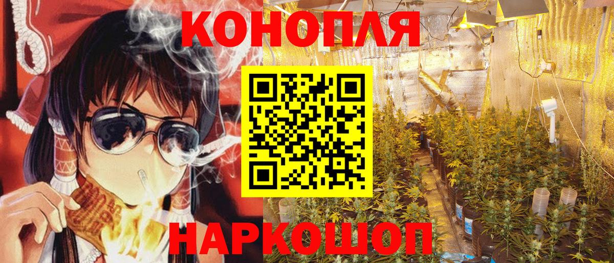 МАРИХУАНА план Коломна